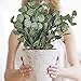 CEWOR Artificial Silver Dollar Eucalyptus Stems 6pcs Artificial Eucalyptus Leaves Fake Plants Artificial Leaves for Home Decoration