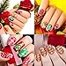 AIFAIFA Nail Stamping Plates Set, Nail Art Design Kits, 2 Nail Stamping Plates, 1 Stamper, 1 Scraper, DIY Manicure Tools (2 Christmas Plate + Stamper)