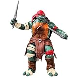 Teenage Mutant Ninja Turtle Movie 11