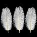 Coceca 10PCS White Ostrich Feathers 16-18inch 40-45cm for Wedding, Party, DIY
