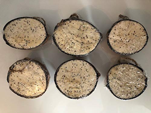 Suet Filled Half Coconuts for Wild Birds (Pack of 6) - ORIGINAL FLAVOUR