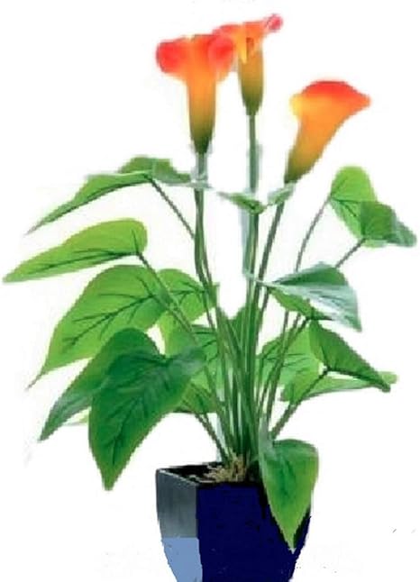 Amazon 美々杏 鉢植えフェイクフラワー 人工観葉植物 カラー 橙 人工観葉植物 オンライン通販