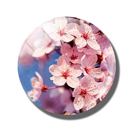 Aggieyou 3pcs Fleur 30mm Aimant De Réfrigérateur En Verre