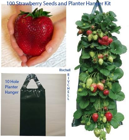 Large Juicy Red Strawberry Seeds with Hanging Planter Bag Pouch Kit -10 Holes Kit Flower Fruit Vegetable Hanger Portable Fruits with High Antioxidants to Grow at Home