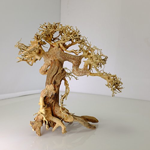 image for Bonsai Driftwood Aquarium Tree AM (8 Inch Height x 6 Inch Length) Natu