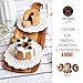 CHEFMADE Mini Angel Food Pan Set, 4PCS 4-Inch Non-stick Carbon Steel Chiffon Mold, FDA Approved for Oven Baking One Part Pan (Champagne Gold)