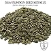 Gerbs Raw Pumpkin Seed Kernels 1 lb. | North American Grown, No Additives, Resealable Bag | Mild & Crunchy Texture | Top 14 Allergen-Free