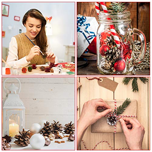 HANGNUO 140PCS Natural Pine Cones and Artificial Acorns for Crafts Ornaments Fall Thanksgiving Christmas Vase Filler Farm House Decoration