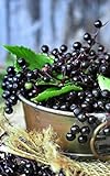 Notebook: elder elderberries berries juice fruits 5