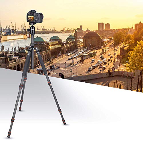 Rollei Allrounder Trépied Titane – 164cm I Trepied Leger pour Votre Appareil Photo et Camera Video I Interchangeable en…