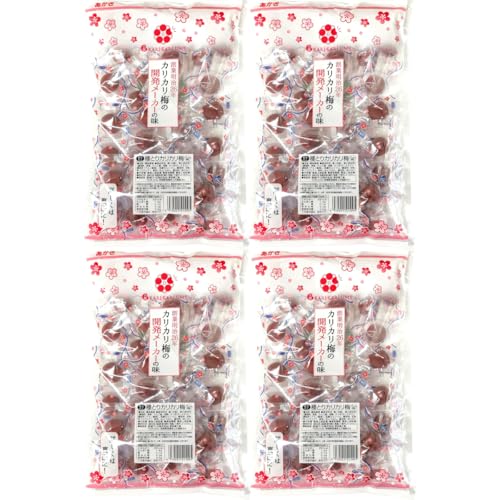 赤城フーズ 種とりカリカリ梅 210g×4袋セット