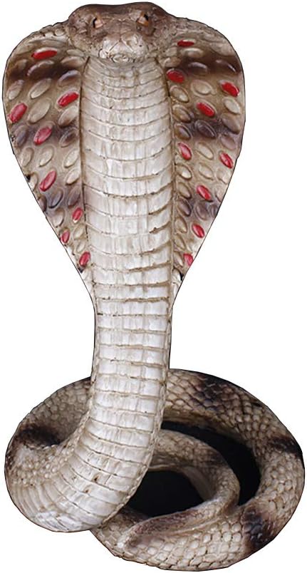 Sdbrkyh Scultura Di Cobra Scultura Statua Di Serpente Figura Animale Scultura Di Orrore Decorativo A Sangue Freddo Della Dea A Sangue Freddo Amazon It Casa E Cucina