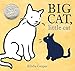 Big Cat, Little Cat: (Caldecott Honor Book)