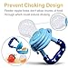 Fresh Food Feeder Pacifier,Feeder baby Fruit Mesh Feeder Teething Toy Silicone Pouches for Toddlers&Kids(2 Pack)