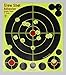 8" Adhesive Splatter Targets - GlowShot - 25 and 75 packs - DayGlo - See Your Hits Instantly - Gun and AirSoft Targets (DayGlo, 75 pack)