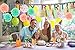 PAXCOO 35 Pcs Mint Gold Tissue Paper Pom Poms Tassel Garland for Baby Shower Party Decorations