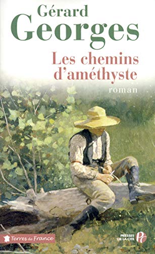 Les chemins d'améthyste by Gérard Georges
