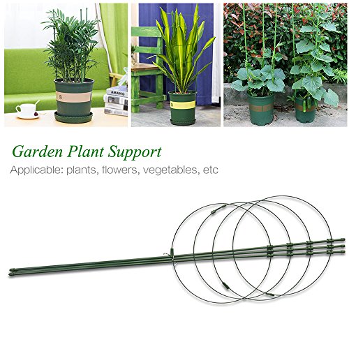 Yunhigh Plant Support Rings, Garden Plant Support for Potted Plants Climbing Winding Sturdy Tomato Cucumber Plant Cage Trellis