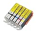 ColorJoy Compatible Ink Cartridge PGI-250XL CLI-251XL (BK+BK+C+M+Y) for Canon PIXMA MG5420 MG5422 MG5520 MG6320 MG6420 MG7120 IP7220 MX722 MX922 Printers