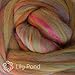 Merino Bamboo Fiber Blend. Super Soft Combed Top Roving for Hand Spinning, Needle Felting, Wet Felting, soap Making and Dryer Balls. Lily Pond