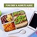 Bento Box Lunch Box, Food Container with Lid, 3 Compartment Bento Box Container for Meal Prepping, Reusable Food Prep Container, BPA Free Container with Compartments, Bento Lunch Box for Adults