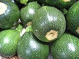 Zucchini Seeds, Round Squash, Heirloom, Organic, 20+ Seeds, Non Gmo, Healthy Vegetable