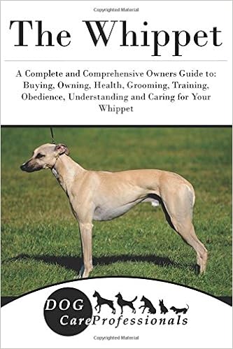 bringing a whippet puppy home