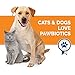 Pawbiotics pet probiotics and enzymes with prebiotics, pumpkin, turmeric, fish oil a natural supplement for dogs and cats (4 ounce)