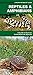 Reptiles & Amphibians: A Folding Pocket Guide to Familiar North American Species (A Pocket Naturalist Guide)