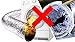 Clothes Dryer Lint Vent Trap Cleaner Brush - Gas Electric Fire Prevention Exhaust - Made of Stainless Steel (Pack of 2)