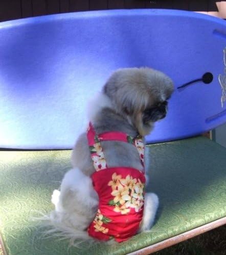 Joybies Tropical Red Aloha Piddle Pants(tm) for XXXX Large Male Dog (Measuring 32"-34" From Collar to Base of Tail)
