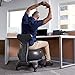 Gaiam Classic Balance Ball Chair - Exercise Stability Yoga Ball Premium Ergonomic Chair for Home and Office Desk with Air Pump, Exercise Guide and Satisfaction Guarantee (Renewed)