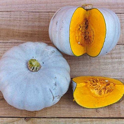 Kings Seeds - Squash Crown Prince F1 - 6 Seeds