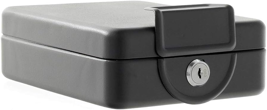Rottner Caja Fuerte portátil Travel Safe, Color Negro ...