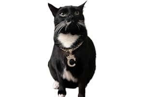 BA UNIQUE FASHION Initial Letter Cuban Chain Dog Chain Pet Chain Pet, Cat, Puppy Chain (14", C)