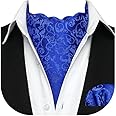 HISDERN Ascot Ties for Men Paisley Cravat Tie and Pocket Square Set Floral Mens Ascot Scarf Handkerchief Wedding Party