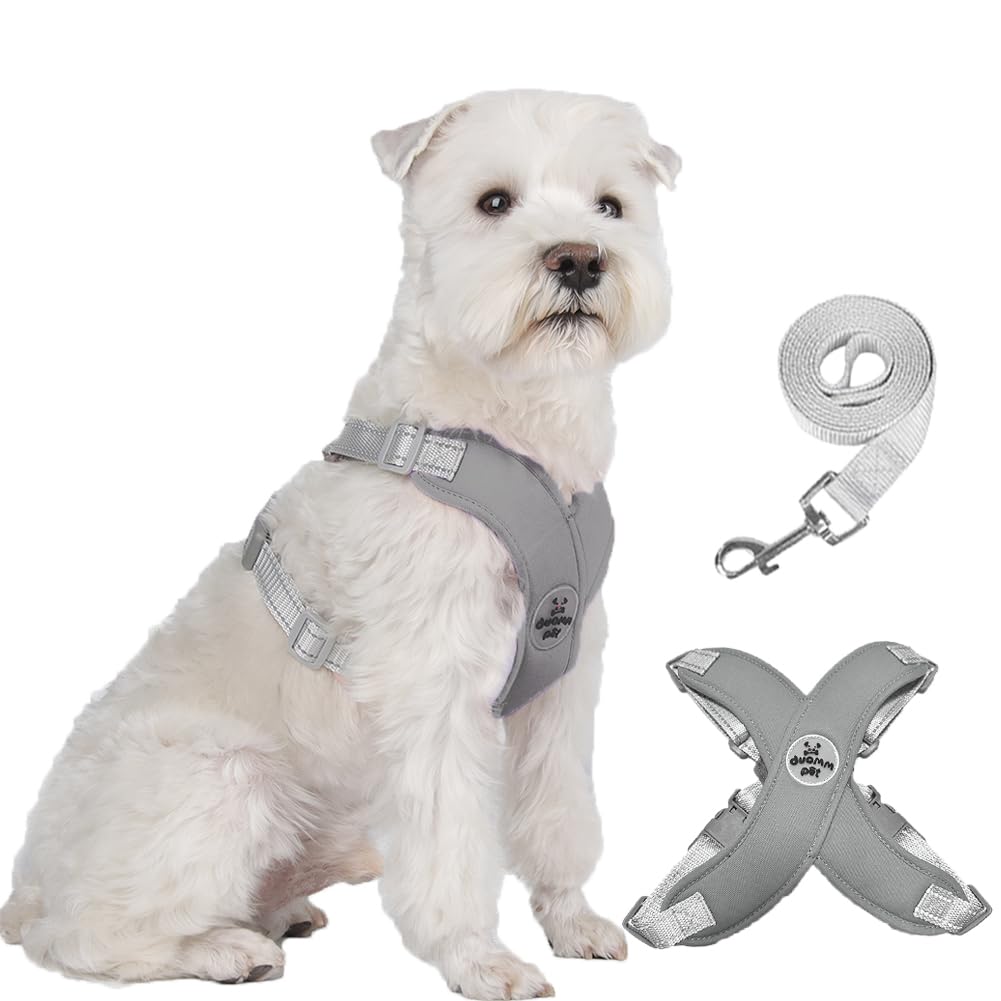 FEimaX No Pull Dog Harness and Lead Set for Small Medium Dogs Adjustable Step-in Pet Vest Harness Reflective Breathable Soft Mesh Padded Puppy Harnesses for Outdoor Walking Training — image 1