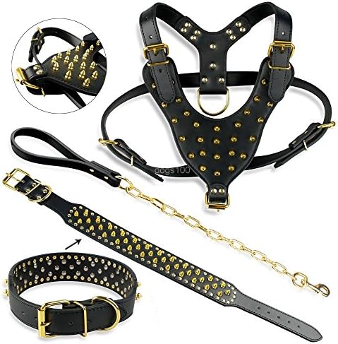Ascentan(TM)Large Dog Pet Pitbull Gold Spikes Studded Leather Harness Collar Leash Set for Large Dogs