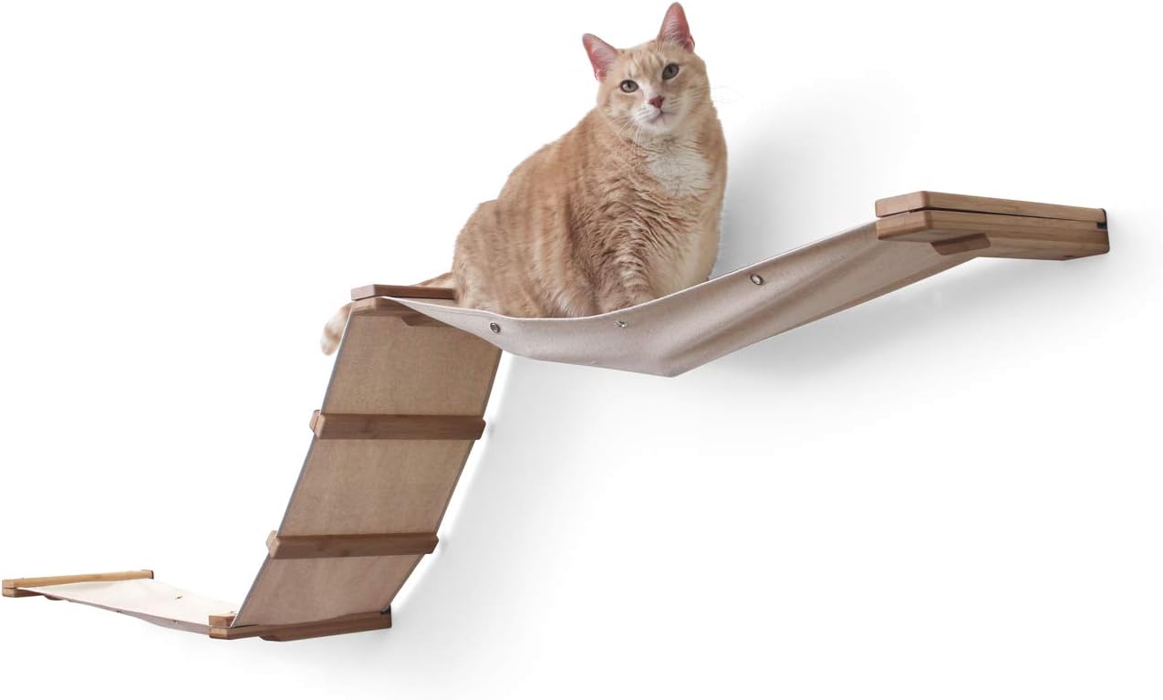 Best Multi Level Ladder