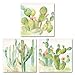 Roaring Brook Lovely Watercolor-Style Desert Cactus Print Set by Cynthia Coulter; Three 12x12in Unframed Paper Posters