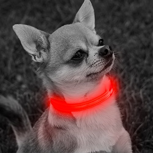 LED Cat Dog Necklace Collar, USB Rechargeable with Water Resistant Flashing Light, Makes Your Small Breed Puppy High Visible in Dark and Night (XS, Red) - Thumbnail 7