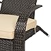 Best ChoiceProducts Wicker Adirondack Chair Patio Porch Deck Furniture Outdoor All Weather Proof