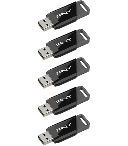 Amazon.com: PNY P-FD64GX10ATT03-MP 64GB Attaché 3 USB 2.0 Flash