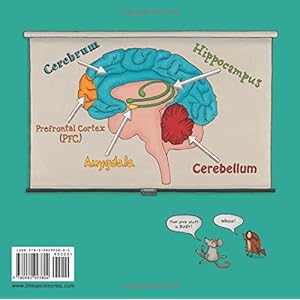 Your Fantastic Elastic Brain: Stretch It, Shape It