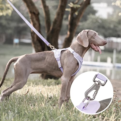 Sunraymascota Soft Lycra Padded Dog Harness,Mesh Breathable Comfortable Vest,Adjustable Size for Small Medium Large Breeds Safe with Two Buckles (Light Purple,M)