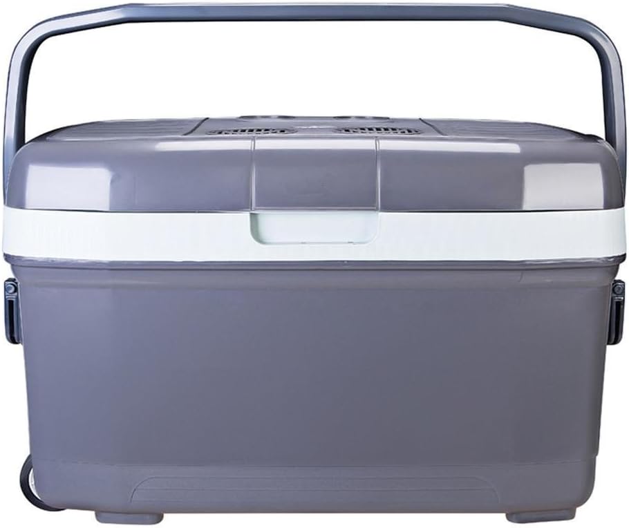 Car Home Dual-Use Cold And Warm Box Camping Mini Refrigerator