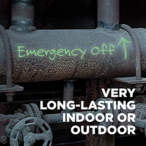 SAKURA Solid GlowIntheDark Paint Markers Permanent Marker Paint