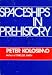 Spaceships in Prehistory by