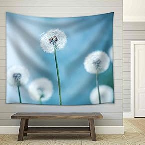 Dandelions on Blue Background Closeup - Fabric Wall Tapestry Home Decor - 51x60 inches