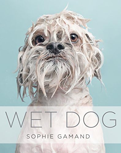 Wet Dog Hardcover – 15 October 2015